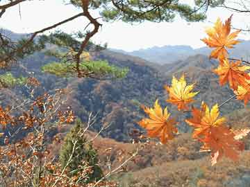 澳門一肖中100%期期準(zhǔn)47神槍,深入執(zhí)行計劃數(shù)據(jù)_DX版75.690