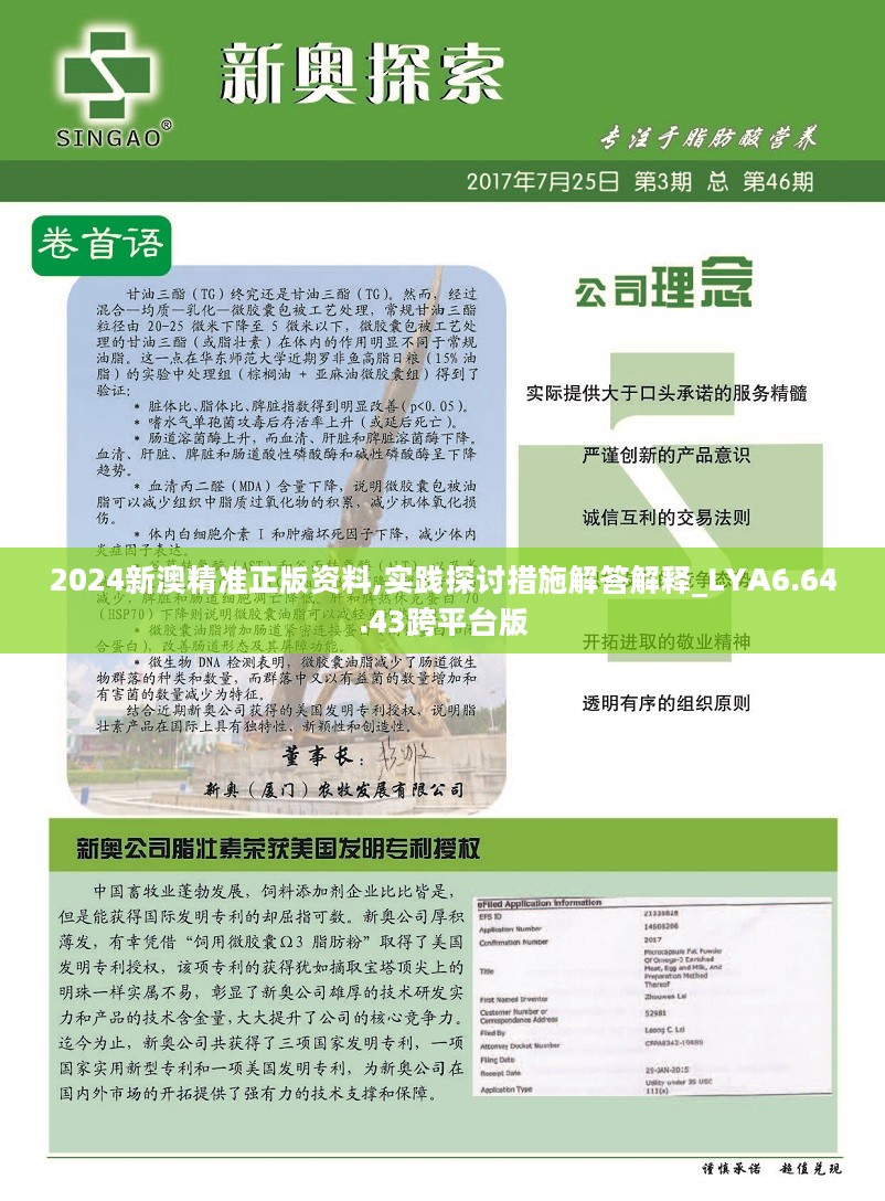 新澳2024年精準(zhǔn)資料32期,迅速執(zhí)行計(jì)劃設(shè)計(jì)_頂級(jí)款63.322