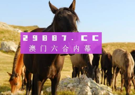 澳門管家婆一肖一碼一中一,準(zhǔn)確資料解釋落實(shí)_冒險(xiǎn)版75.144