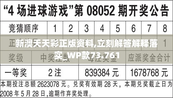 2024新澳歷史開獎,實踐策略實施解析_標(biāo)配版36.736