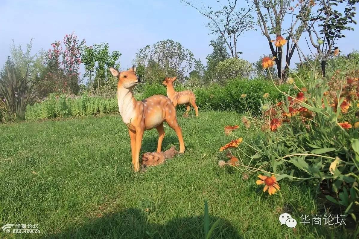 西安新植物園最新動態(tài)，進(jìn)展、亮點(diǎn)與未來展望