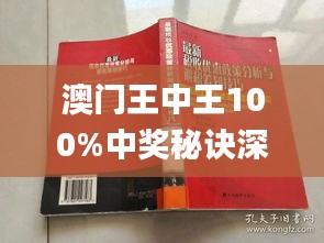 澳門王中王100%期期中一期,狀況評估解析說明_PalmOS81.847