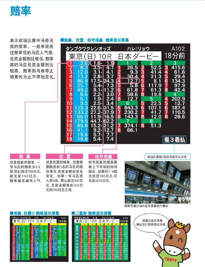 馬會(huì)傳真,資源整合策略實(shí)施_增強(qiáng)版8.317