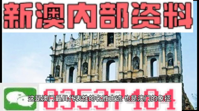 2024新澳精準(zhǔn)資料免費(fèi)提供,澳門內(nèi)部,綜合分析解釋定義_W53.517